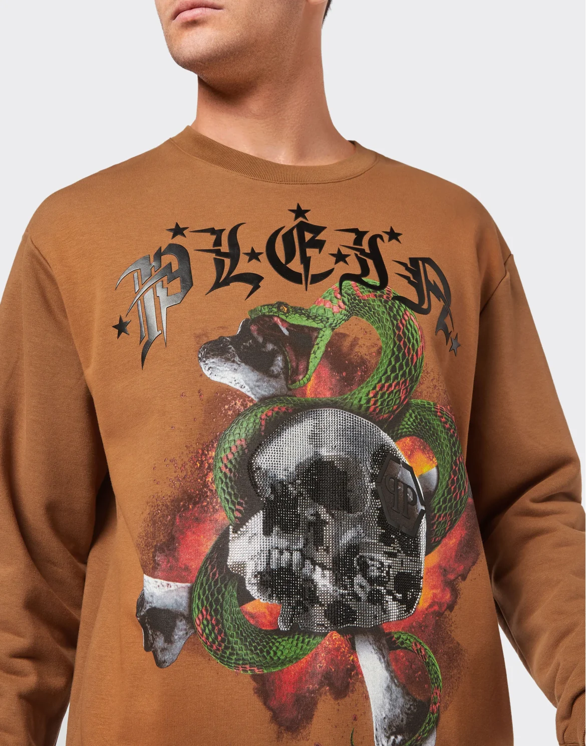 Sweatshirt LS Snake, цвет: Коричневый