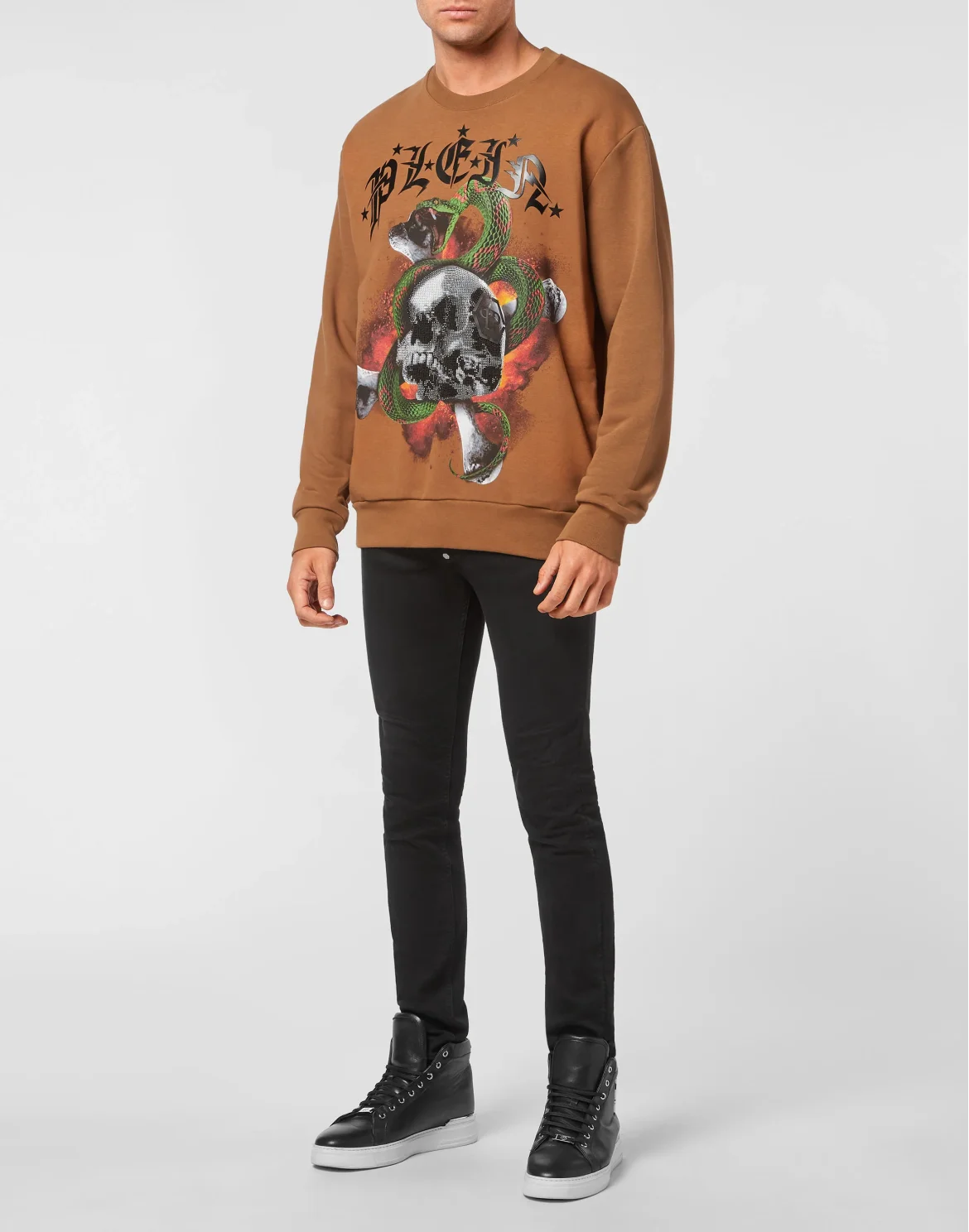 Sweatshirt LS Snake, цвет: Коричневый