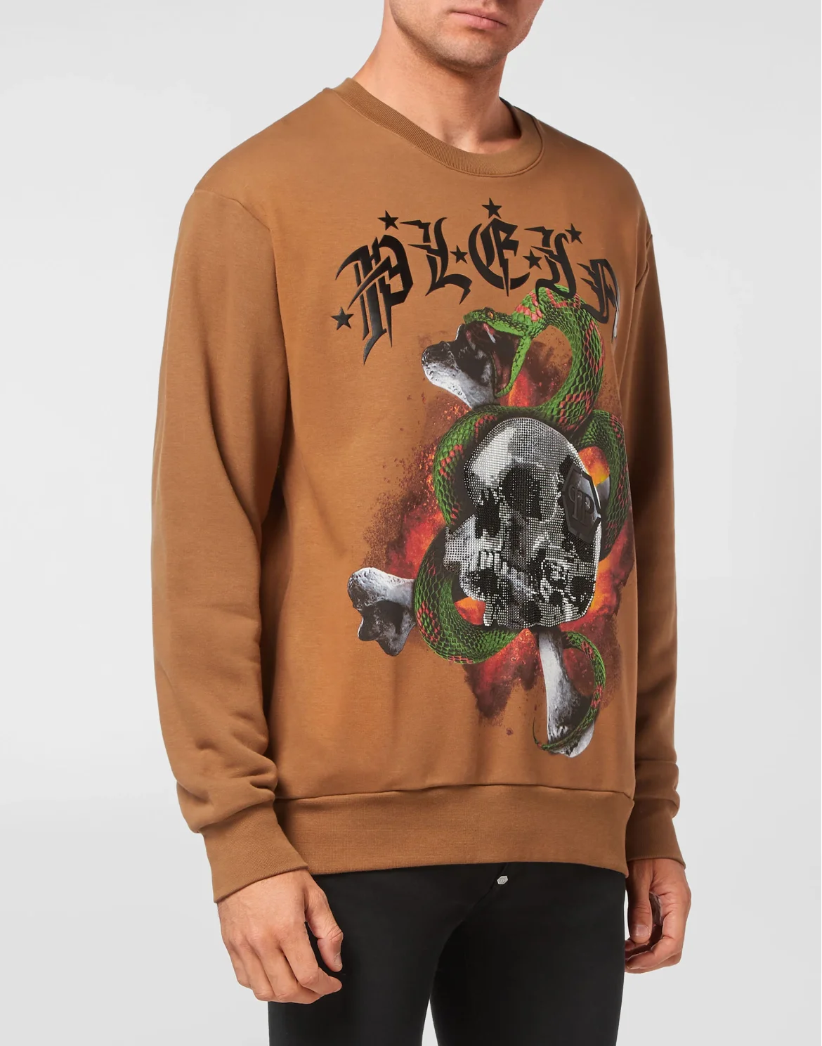 Sweatshirt LS Snake, цвет: Коричневый
