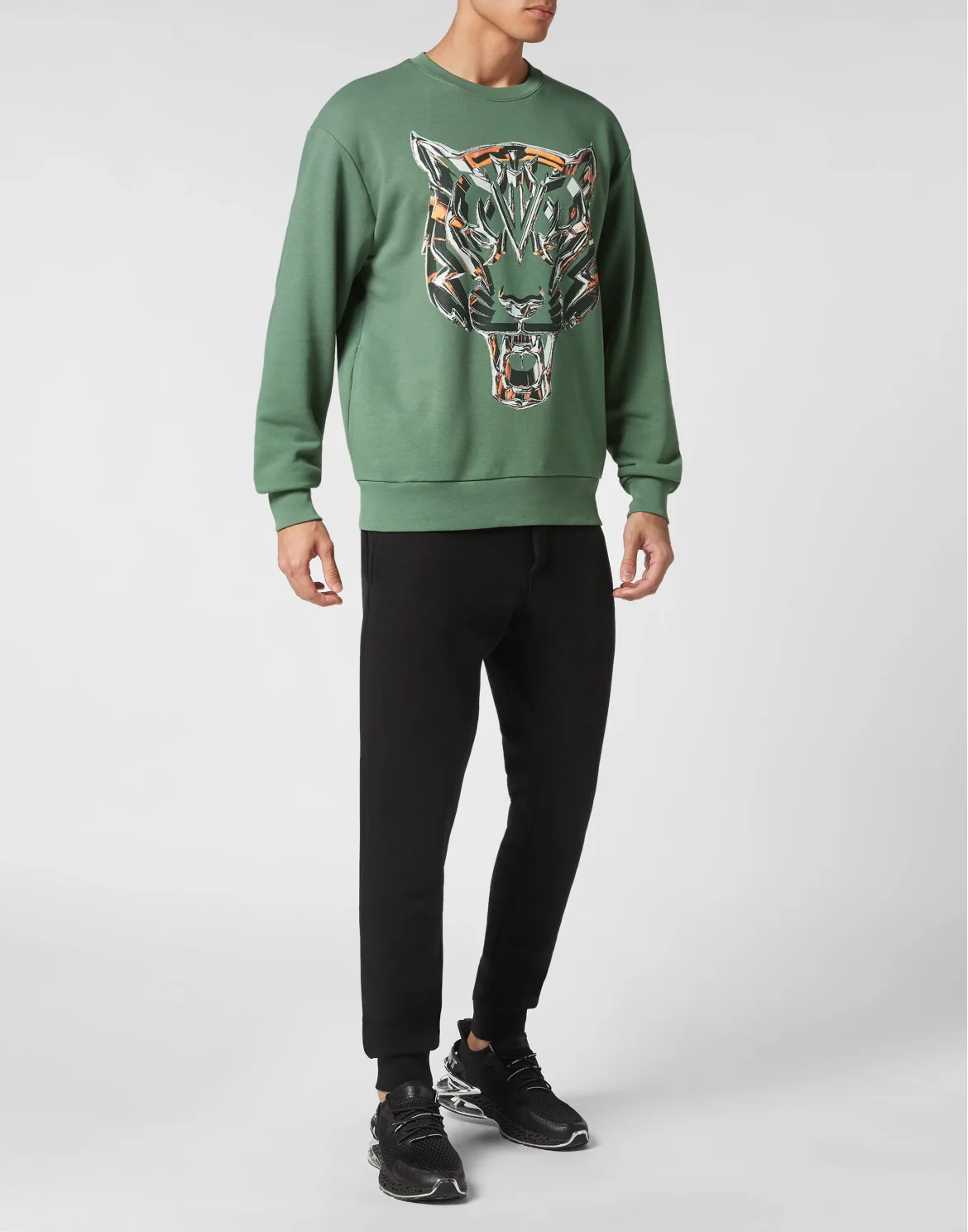 Sweatshirt LS Chrome Tiger, цвет: Камуфляж