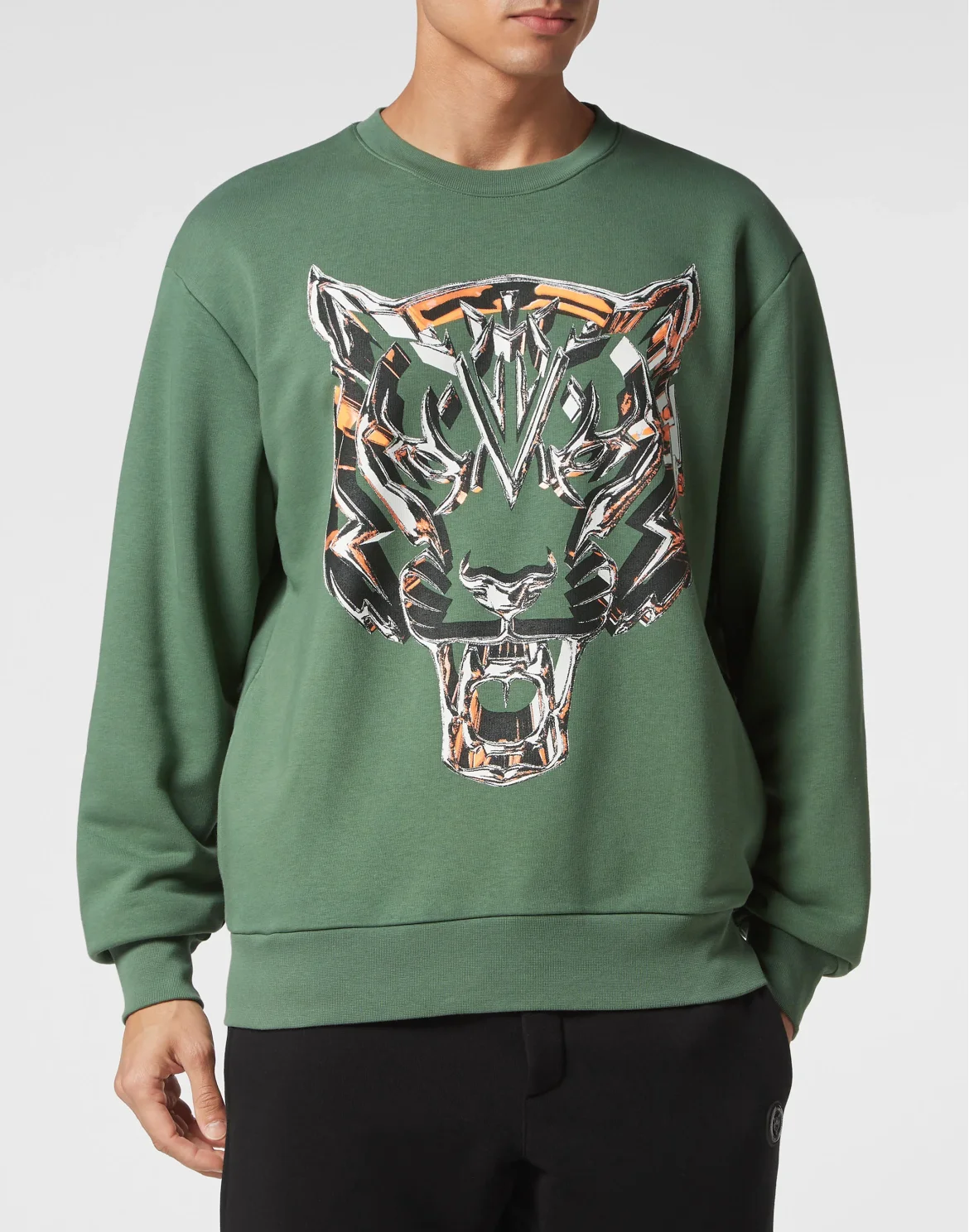 Sweatshirt LS Chrome Tiger, цвет: Камуфляж