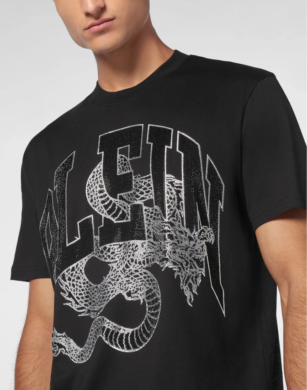 T-shirt Round Neck SS Dragon, цвет: Черный
