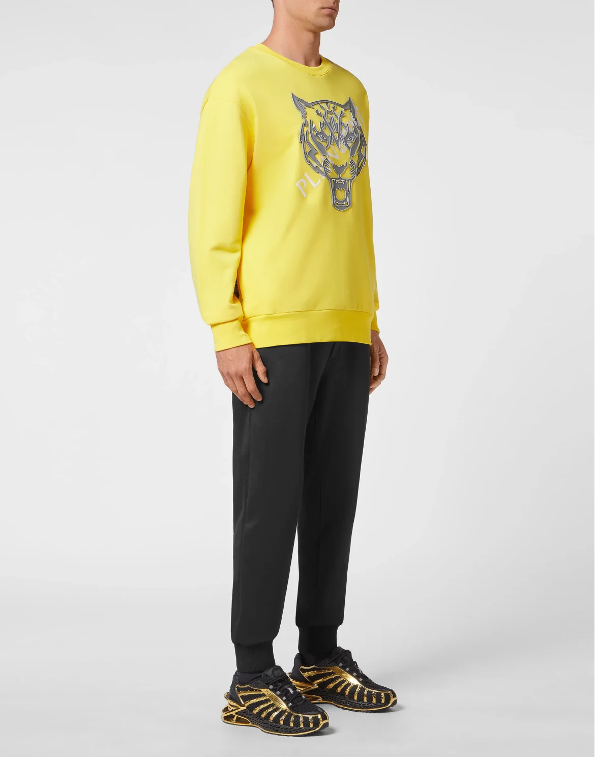 Longsleeve Sweatshirt Tiger, цвет: Желтый