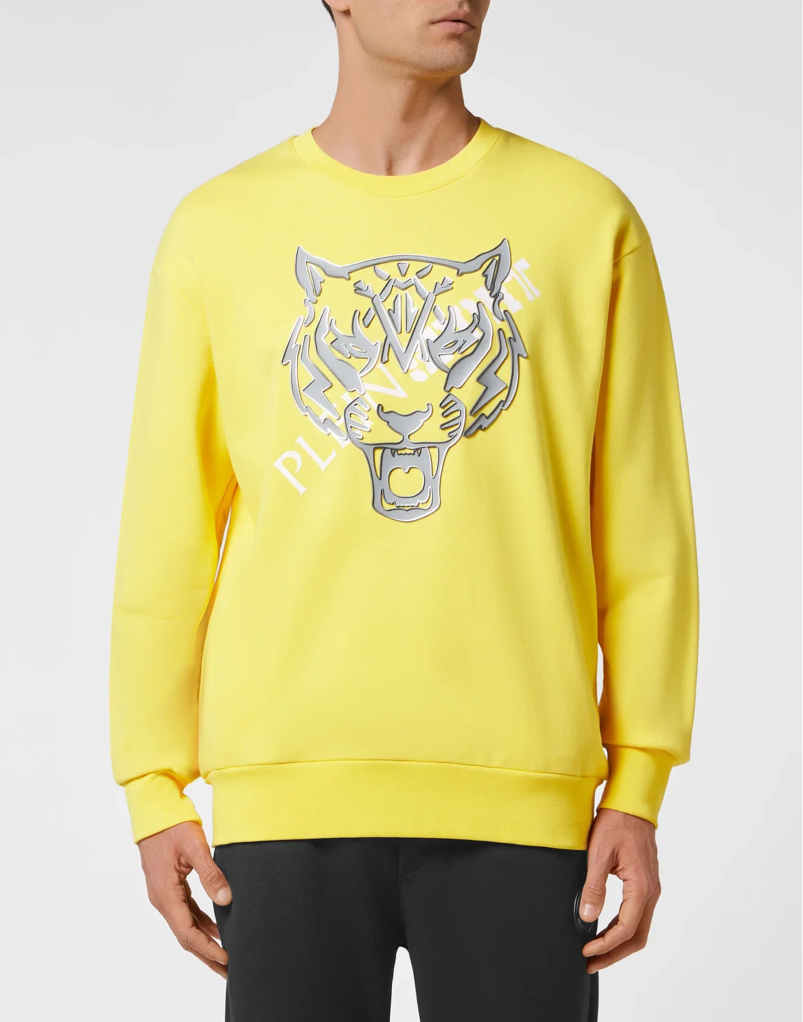 Longsleeve Sweatshirt Tiger, цвет: Желтый