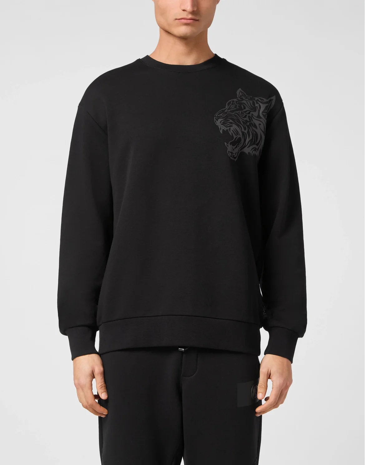 Roundneck Sweatshirt Tiger, цвет: Камуфляж