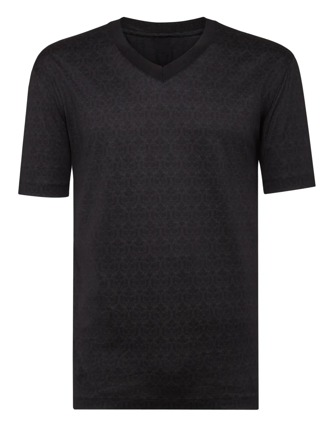 T-shirt V-Neck SS Lion, цвет: Черный
