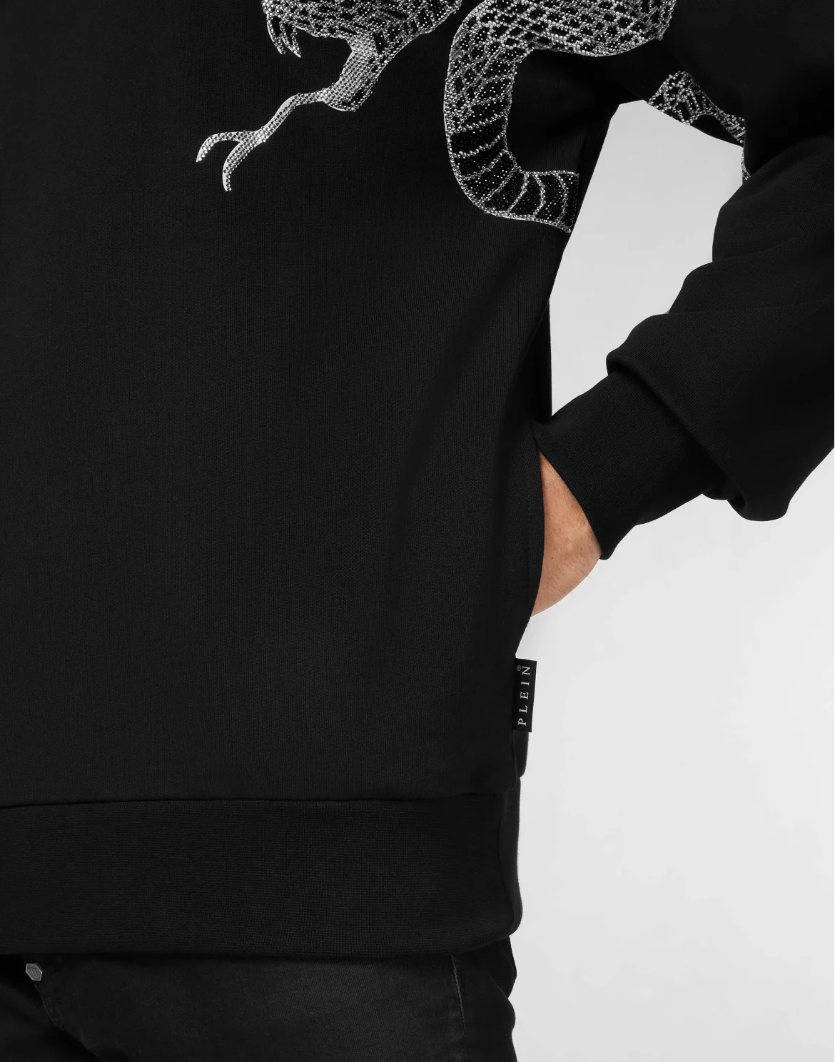 Hoodie Crystal Snake, цвет: Черный