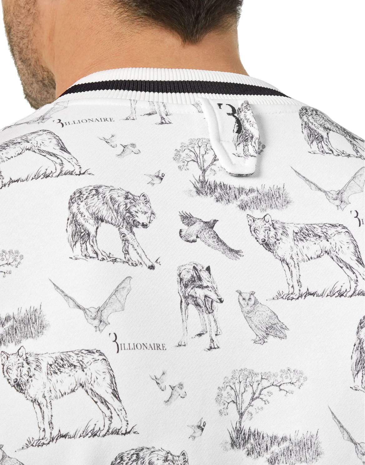 Sweatshirt LS Wolf, цвет: Белый