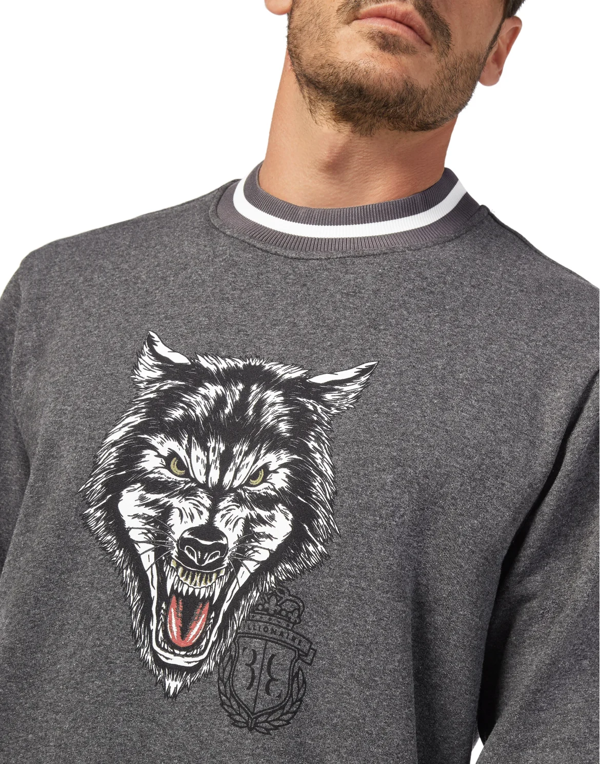 Sweatshirt LS Wolf, цвет: Серый