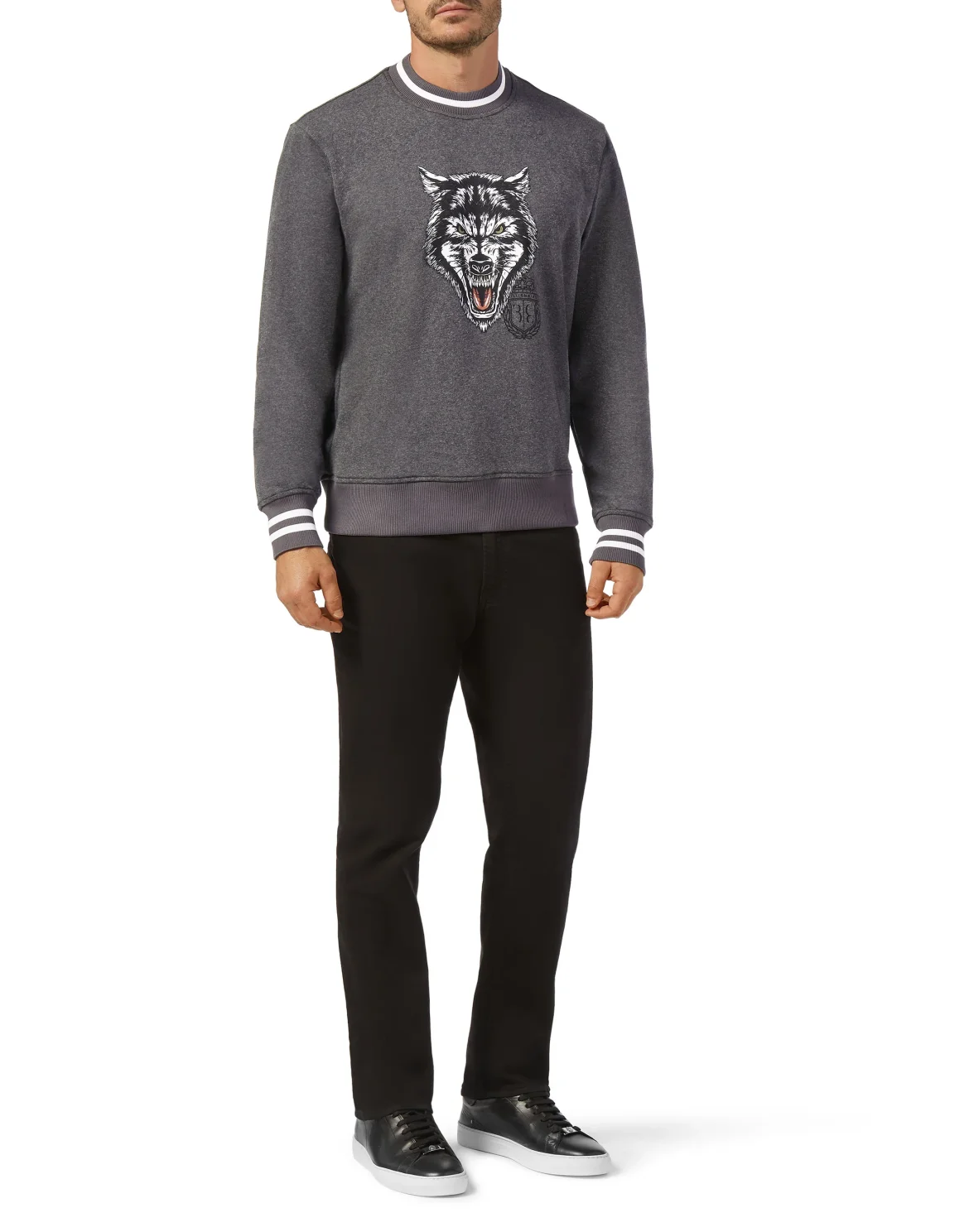 Sweatshirt LS Wolf, цвет: Серый