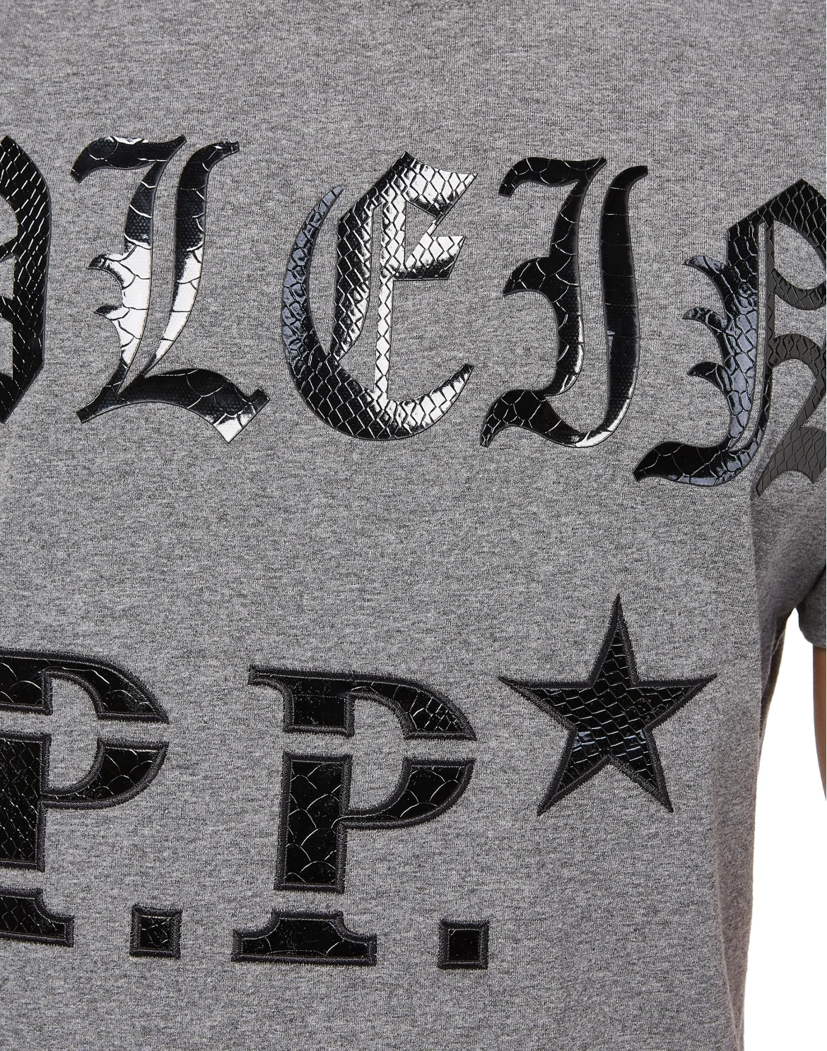 T-shirt Round Neck SS "Like a bird", цвет: Серый