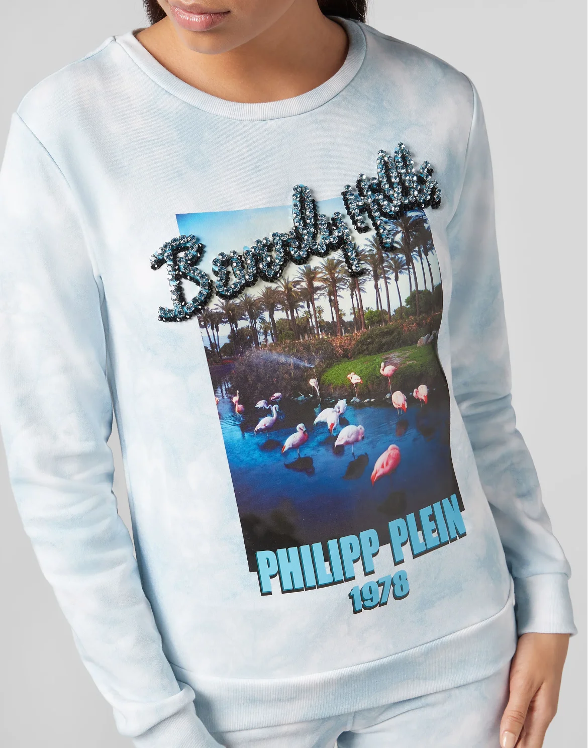Sweatshirt LS PP1978, цвет: Голубой