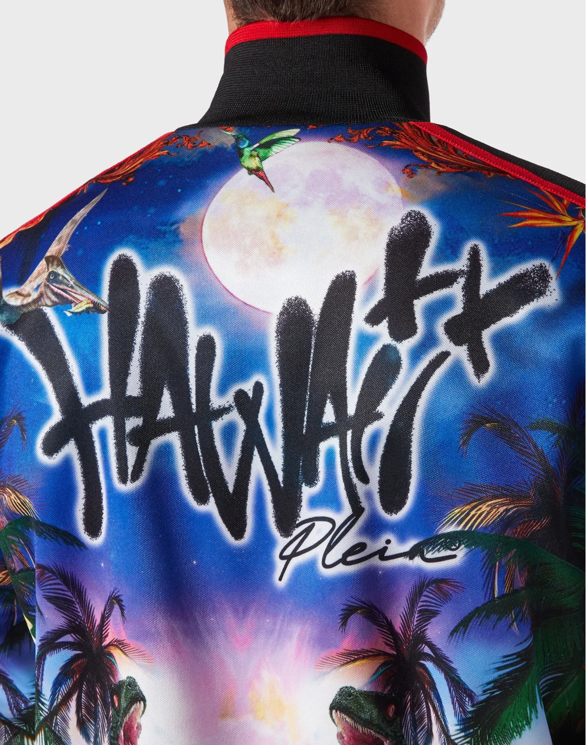 TRACKSUIT: ZIP-UP JACKET + JOGGING PANTS HAWAII, цвет: Мультиколор