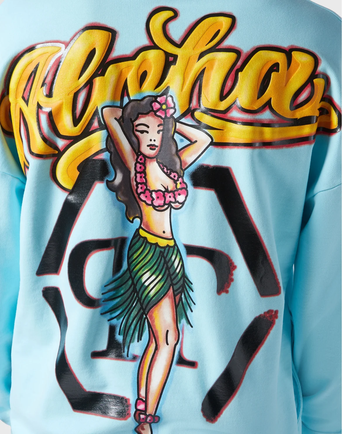 Sweatshirt LS Hawaii, цвет: Голубой