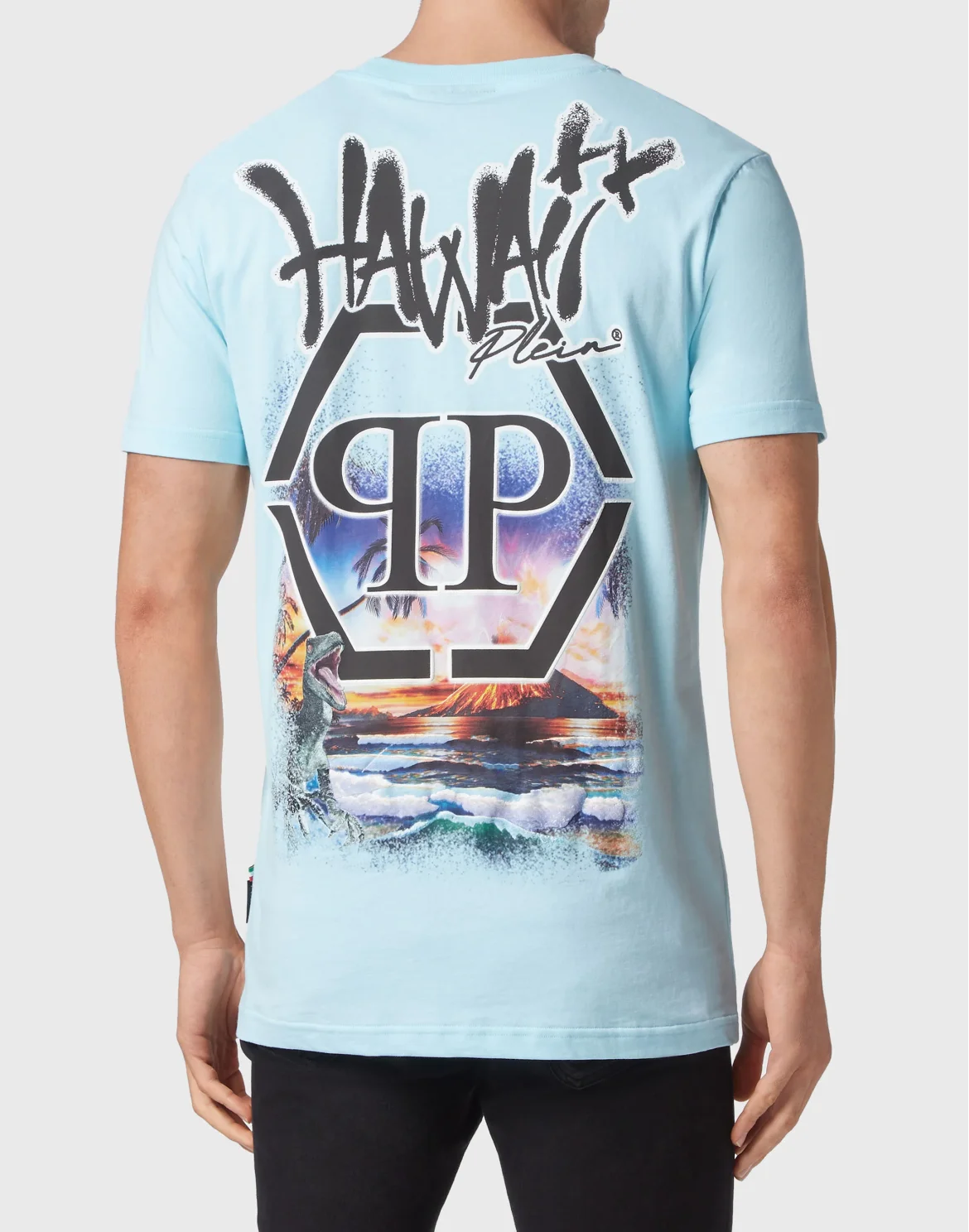 T-shirt Round Neck SS Hawaii, цвет: Голубой