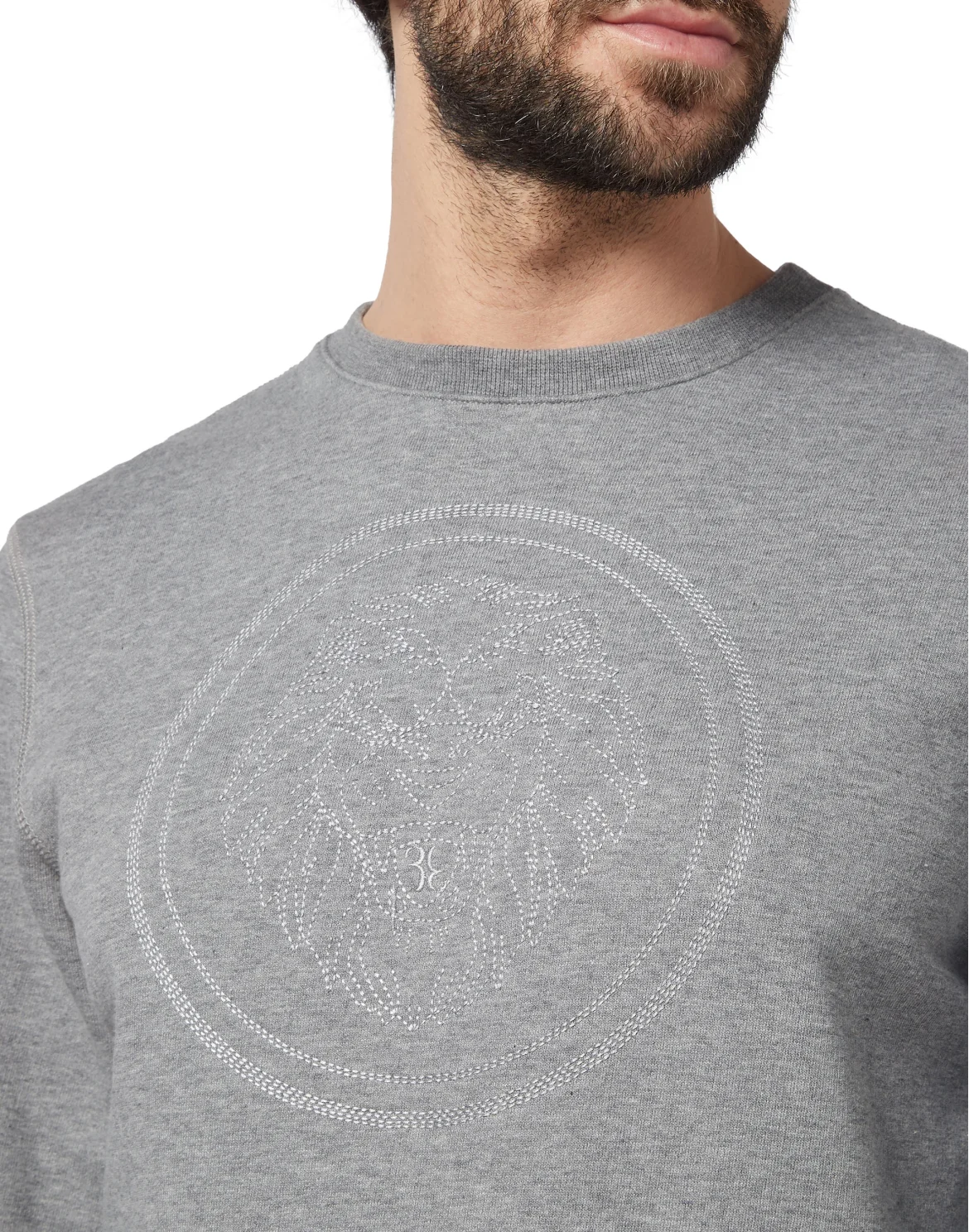 Sweatshirt LS Lion, цвет: Серый