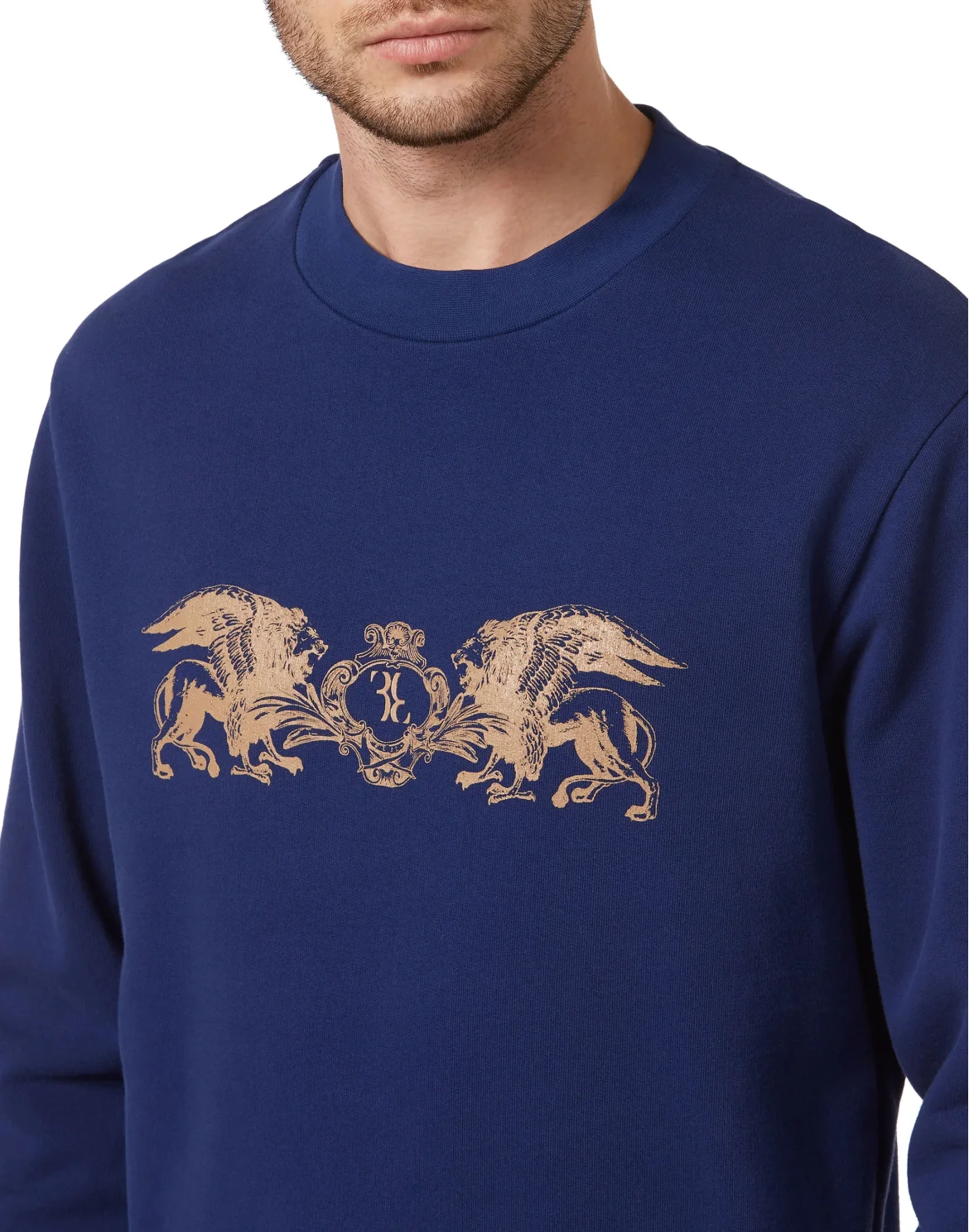 Sweatshirt LS, цвет: Синий