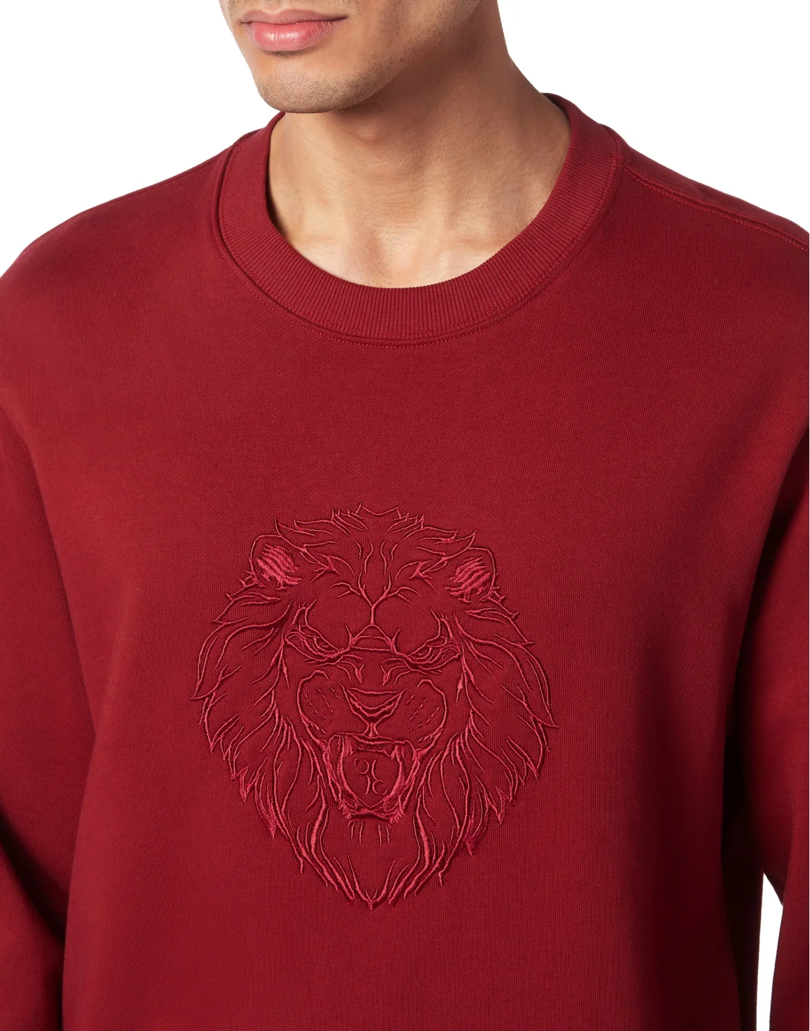 Sweatshirt LS, цвет: Красный