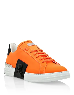 Вариант F19S-MSC2276-PLE008N_37