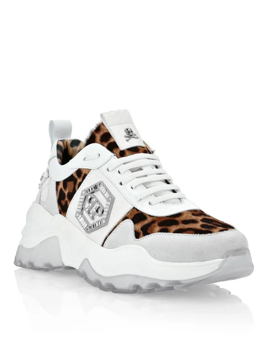 Runner elaphe and  Leopard