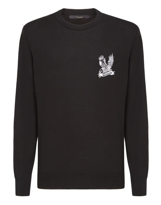 Pullover Round Neck LS Falcon