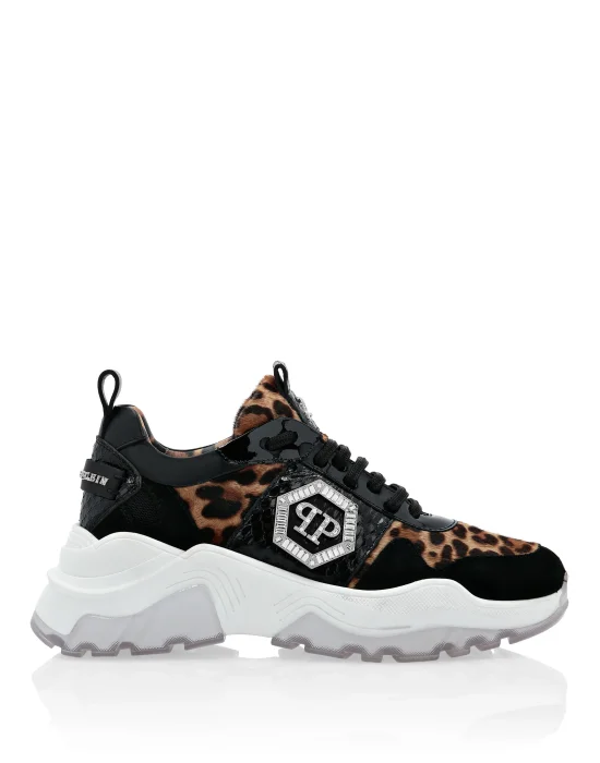 Runner elaphe and  Leopard