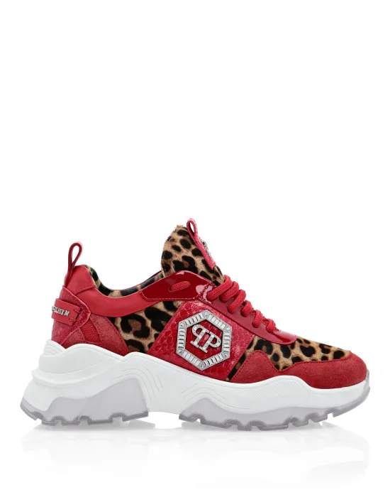 Runner elaphe and  Leopard