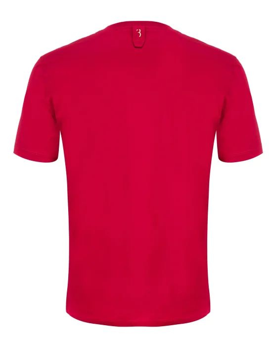 T-shirt V-Neck SS Crest