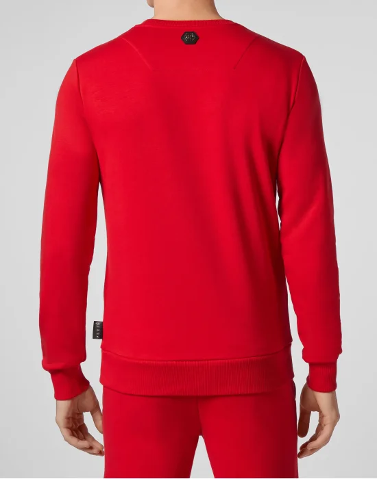 Sweatshirt LS Tiger